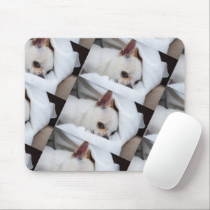 Your pet dog puppy custom photo chihuahua pattern mouse mat