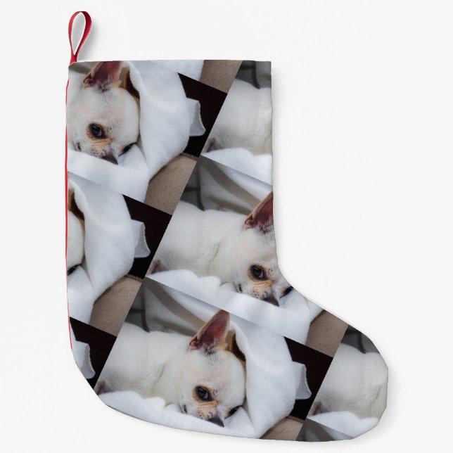 Your pet dog puppy custom photo chihuahua pattern small christmas stocking (Front)