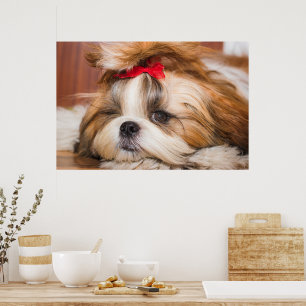 Your pet dog puppy custom photo poster
