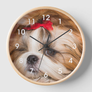 Your pet dog puppy photo clock face watch