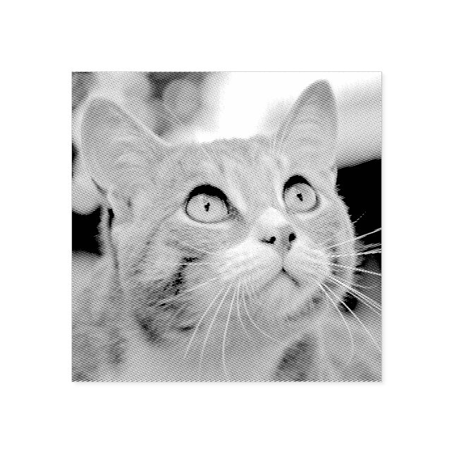 Your Pet Etching | Etched From Photo | Custom Rubber Stamp (Imprint)