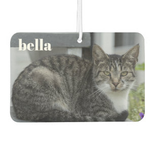 Your Pet Name and Cat Photo Template Car Air Freshener