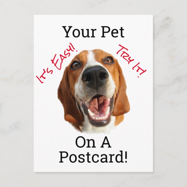 Your Pet On A Postcard (Front)