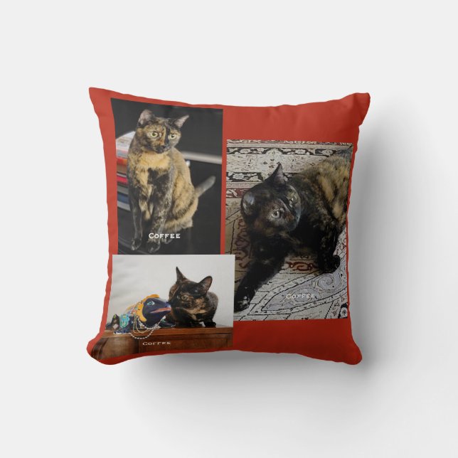 Your Pet or Pets 3 Photos, 3 Names, Red Background Cushion (Front)