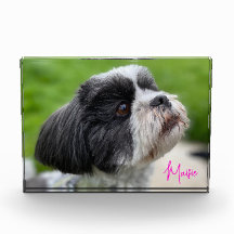 Your Pet Photo Autographed Photo Block