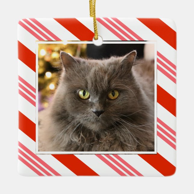 Your Pet Photo Candy Cane Striped Ceramic Ornament (Front)