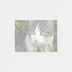 Your Pet Photo Gift Personalised Post It Notes Cat