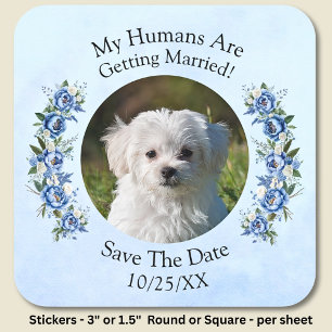 Your Pet Photo Humans Getting Married,  Blue Peony Square Sticker