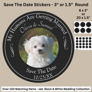 Your Pet Photo, Save The Date, Black & White  Classic Round Sticker