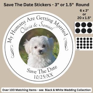 Your Pet Photo, Save The Date, Black & White  Classic Round Sticker