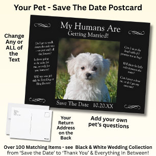 Your Pet Photo Save The Date Black White Infinity Postcard