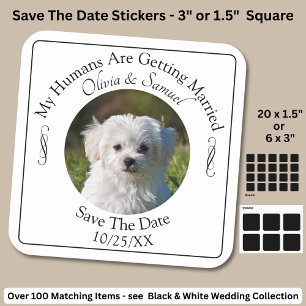 Your Pet Photo, Save The Date, Black & White  Square Sticker