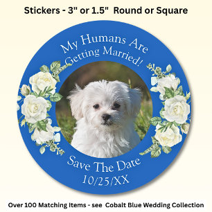 Your Pet Photo, Save The Date, Cobalt Blue & White Classic Round Sticker