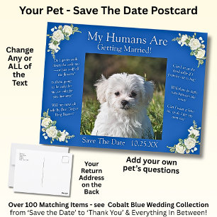 Your Pet Photo Save The Date Cobalt Blue & White Postcard