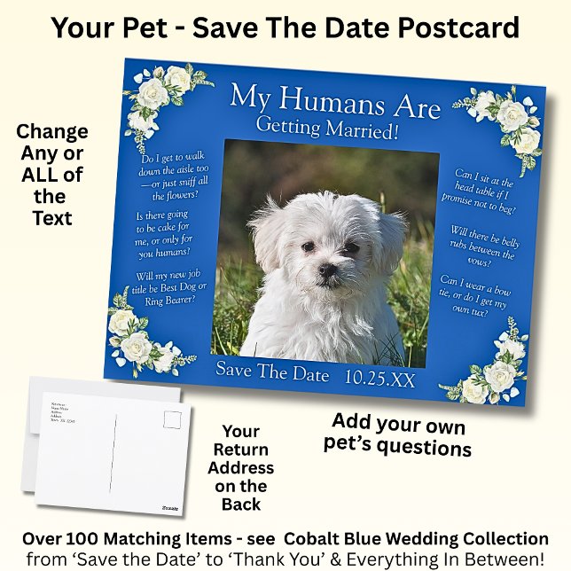 Your Pet Photo Save The Date Cobalt Blue & White Postcard (Creator Uploaded)