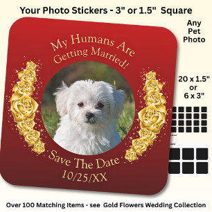 Your Pet Photo, Save The Date, Gold Flowers Maroon Square Sticker