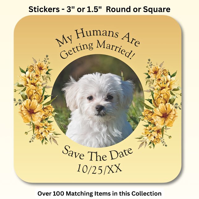Your Pet Photo, Save The Date, Golden Yellow Flora Square Sticker (Creator Uploaded)