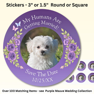 Your Pet Photo, Save The Date, Purple Mauve Flower Classic Round Sticker