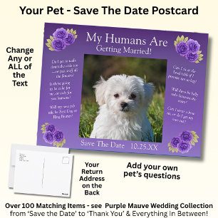 Your Pet Photo Save The Date Purple Mauve Flowers Postcard