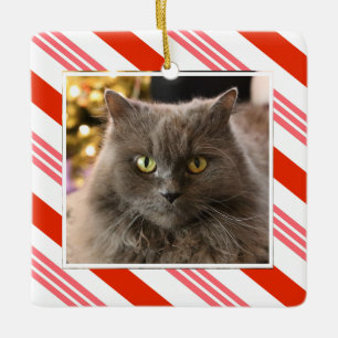 Your Pet Photo Strawberry Candy Cane Striped Ceramic Ornament