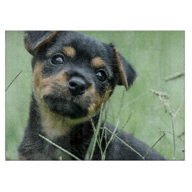 Your Pet Picture Personalise Glass Cutting Board (Front)