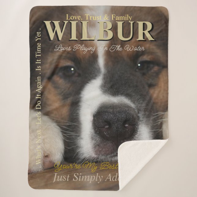 Your Pet The Star They Are Magazine Style Sherpa Blanket (Front)