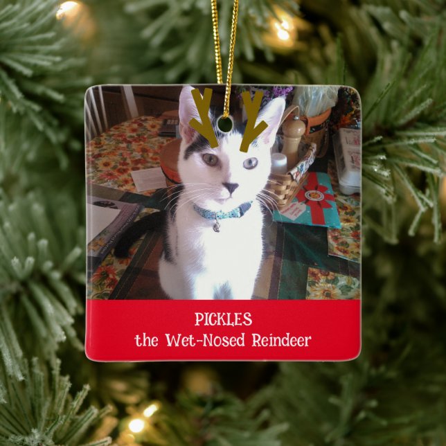 Your Pet the Wet Nosed Reindeer Pet Photo Ceramic Ornament (Tree)