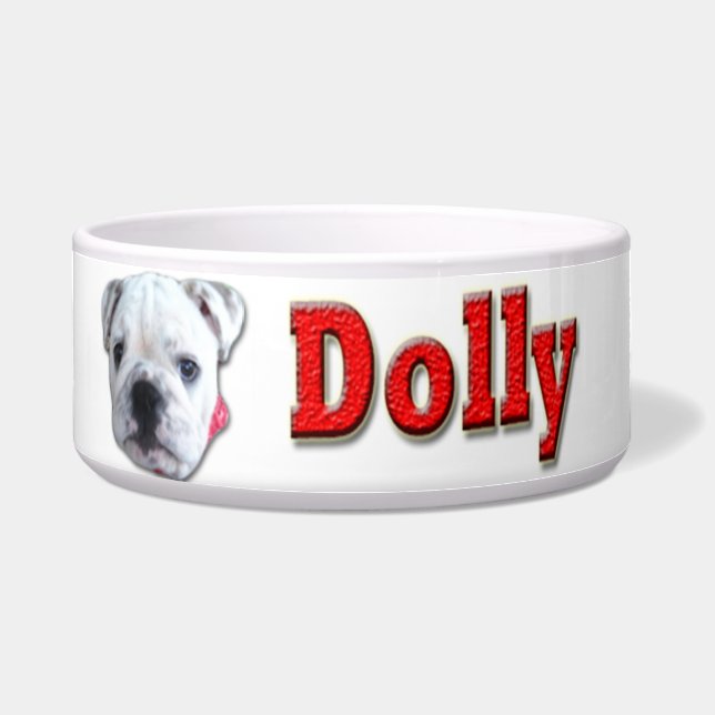 YOUR PETS FACE AND NAME ON HIS/HER FEEDING DISH (Front)