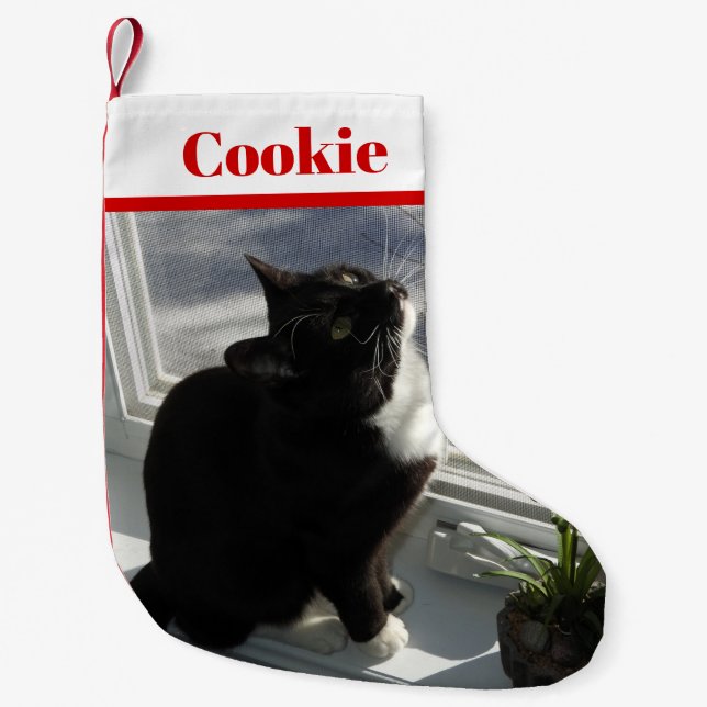 Your Pet's Photo Christmas Stocking with Name (Front)
