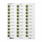 Your Pet's Photo Custom Return Address Label