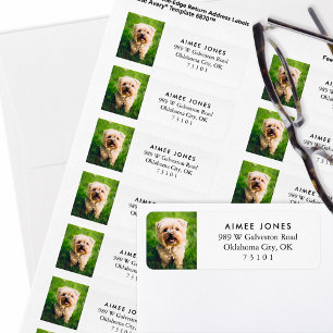 Your Pet's Photo Custom Return Address Label