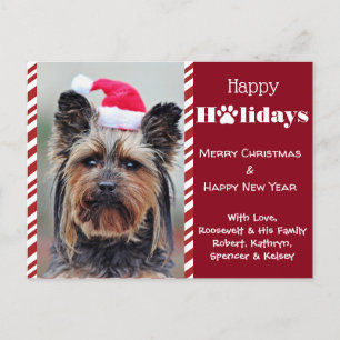 Your Pets Photo Holiday Postcard