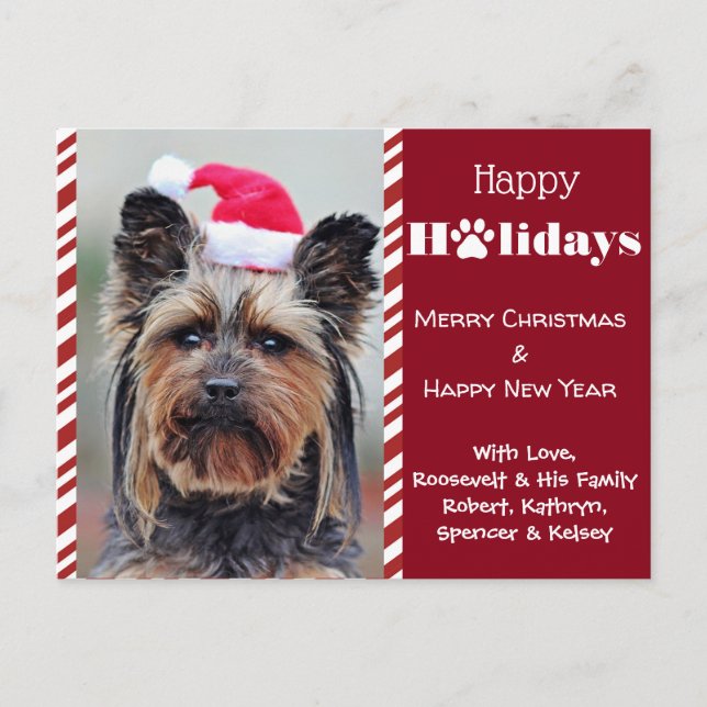 Your Pets Photo Holiday Postcard (Front)