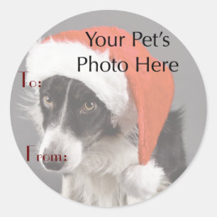 Your Pet's Photo on Christmas Name Tags