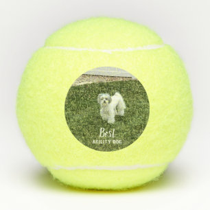 Your Pet's Photo Personalised With Text Tennis Balls
