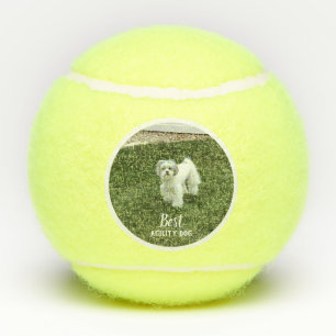 Your Pet's Photo Personalised With Text Tennis Balls