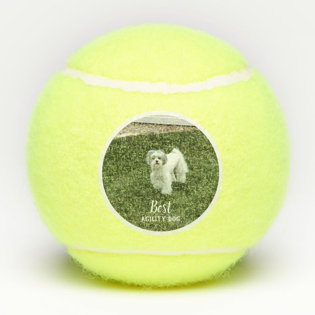 Your Pet's Photo Personalised With Text Tennis Balls (Back)