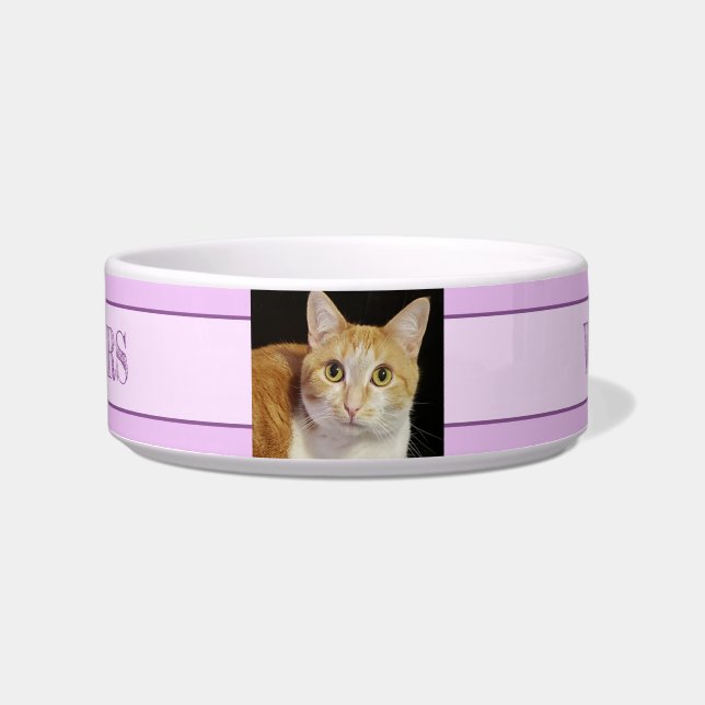 Your Photo 2 Text Pink Purple Cat Dog Pet Bowl (Front)