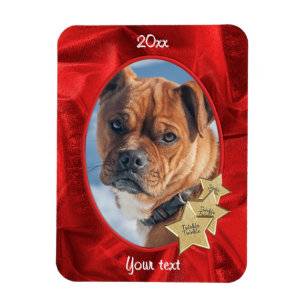 Your Photo:  Christmas Red  Oval Picture Frame Magnet