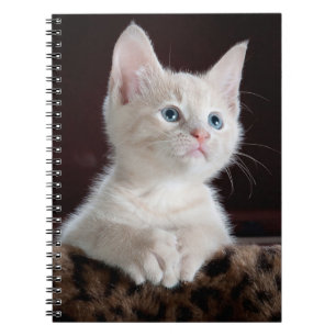 Your Photo Custom Notebook