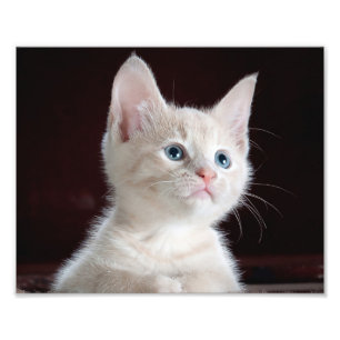 Your Photo Custom Print