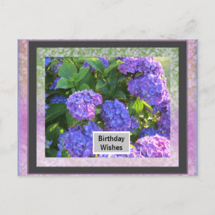 Your Photo Frame Birthday Post Card