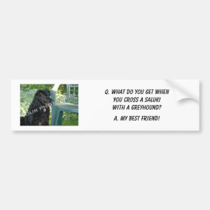 Your Photo Here! My Best Friend Saluki Mix Bumper Sticker