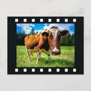 YOUR PHOTO in "film strip" postcard