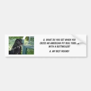 Your Photo! My Best Friend American Pit Bull Mix Bumper Sticker