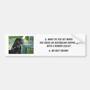 Your Photo! My Best Friend Australian Shepherd Mix Bumper Sticker