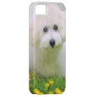 Your Photo On iPhone 5