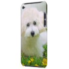 Your Photo On iPod Touch