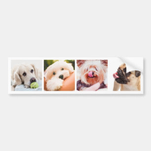 YOUR PHOTOS / Cute Dogs custom bumpersticker Bumper Sticker