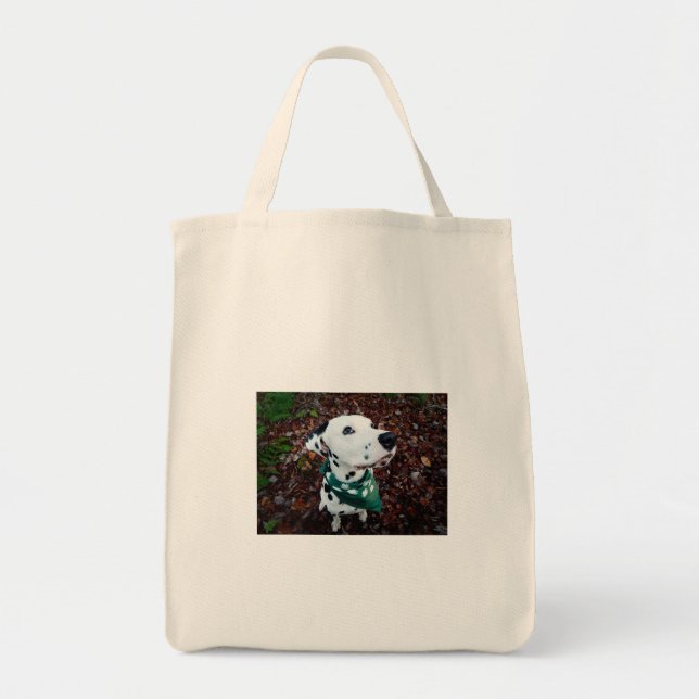 Your Picture Here Tote Bag (Front)